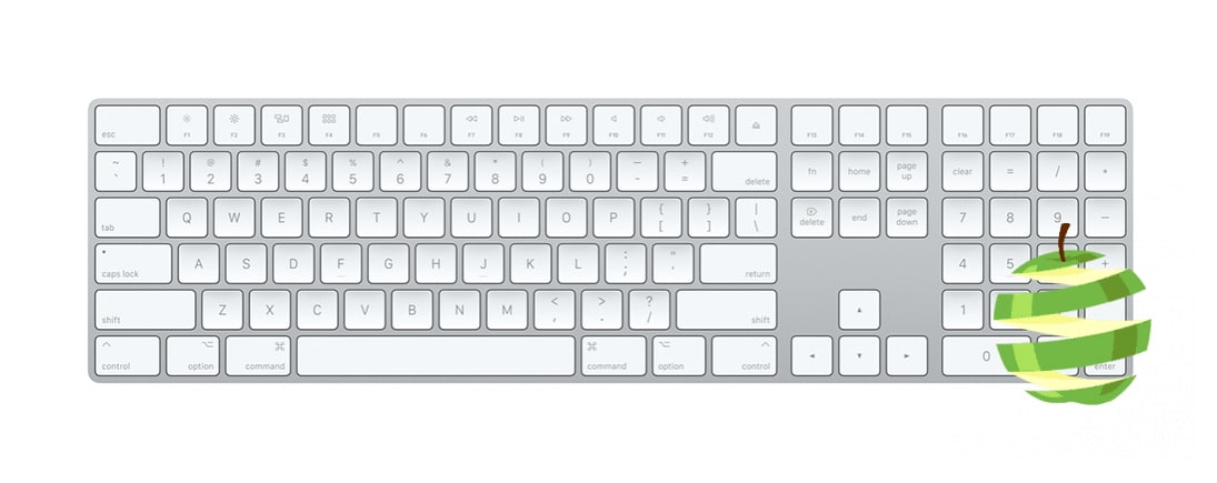 Apple - Clavier sans fil APPLE Magic Keyboard