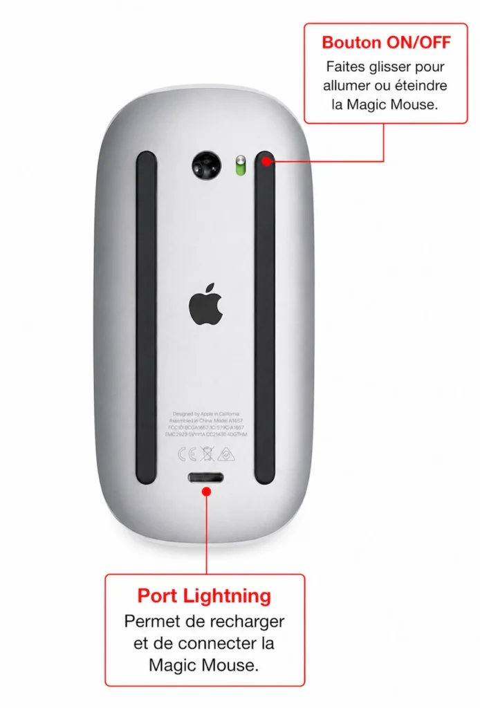 Arrière d'une Magic Mouse Apple avec interrupteur d'alimentation et connecteur Lightning